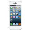 Apple iPhone 5 16Gb white - Рузаевка
